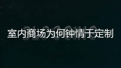 锈钢两分类垃为何于定钟情制不圾桶室内商场