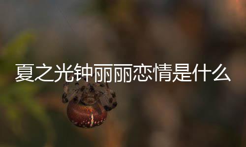 么情夏之夏之丽丽恋情丽丽况 光钟光钟个人资料介绍是什是谁