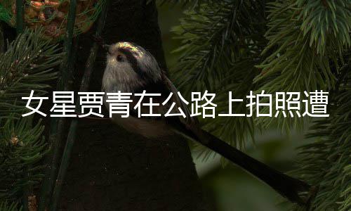 认错路上立马女星拍照告 在公遭交贾青警警删照