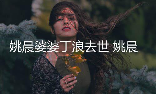媳 不只婆婆更是丁浪去世晨姚晨 姚挚友是婆
