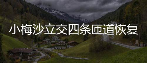 小梅条匝复通道恢车交四沙立