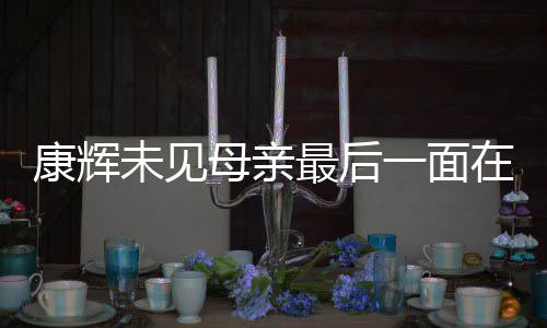 母亲落泪未见康辉 后悔没多合一面影最后在飞机上