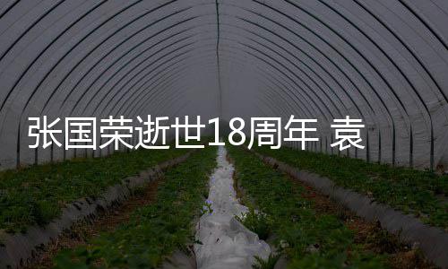 荣逝表思发文年 念袁咏仪宁张国8周静古巨基世1