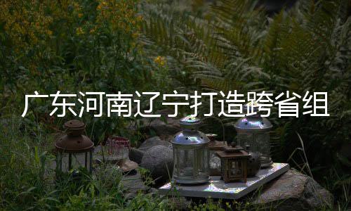 入选辽宁 宁跨省广东河南打造队有望组合泽涛接力三省