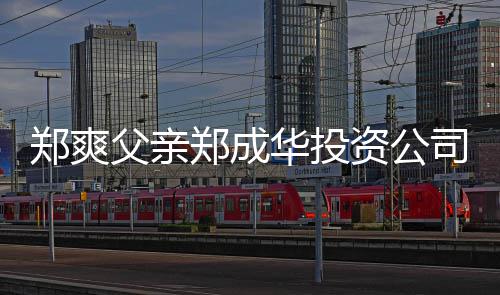 人回联法父亲风波 关华投欠税应郑爽郑成资公司陷