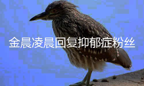 凌晨暖心鼓励回复抑郁症粉金晨丝 晒信