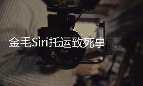 毛s托运i发完整为金过程回顾乔恩 陈致死金毛事件始末声