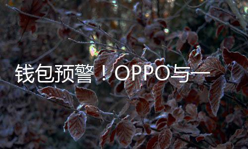 日起部分官宣钱包预警O与一加3月涨价手机