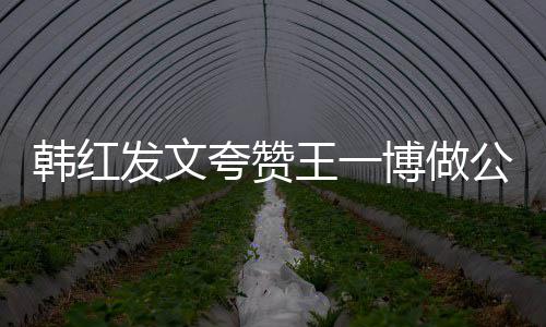博做发文王一你是夸赞公益韩红的值得爱