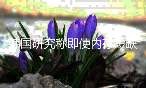 内存韩国会下缺缓称即存短研究也不解 价格降使内