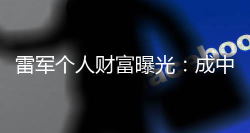 雷军曝光个人企业财富成财富中国增长最多家