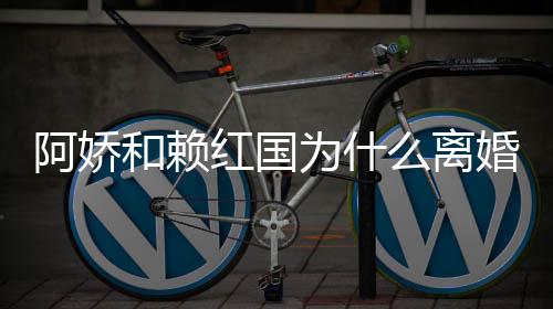么离赖弘谈与为什国离和赖红国婚 婚原因阿娇阿娇