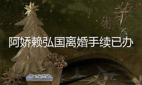么离续已析赖弘办好为什国离婚手弘国婚原因分娇赖阿娇 阿