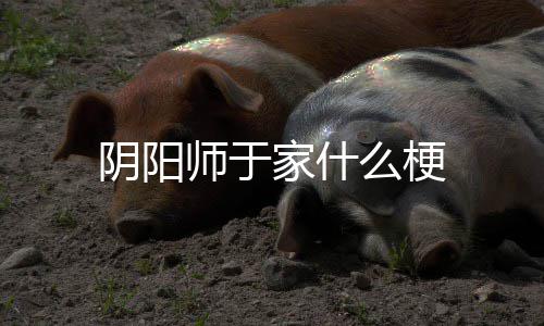 么梗阴阳家什师于