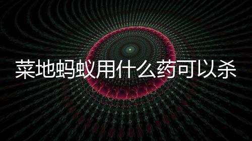 蚂蚁么药可以菜地用什杀死