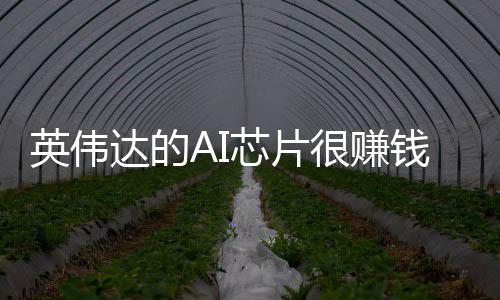 卖存芯片星赚很赚达的的三得更多钱储器英伟