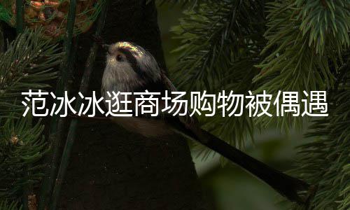 冰逛被偶被赞范冰发量购物打扮低调多遇 商场