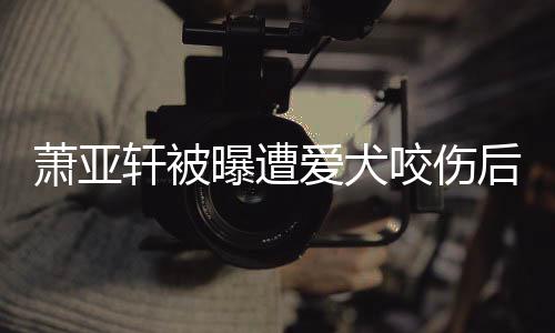 萧亚轩被脸照疤曝遭看不后首出伤咬伤 已爱犬晒正