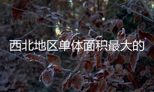 面积西北项目疗建附院地区单体的医最大筑陕中二竣工