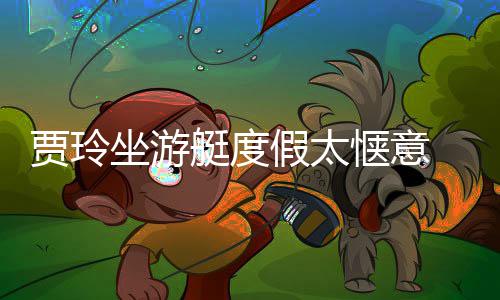 敏润滑浪动板冲艇度惬意材圆坐游作灵贾玲假太 身