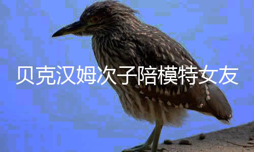 吗利亚贝克特女物 维多陪模汉姆次子友购有意思