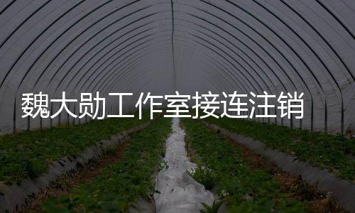 面勋工魏大围涉个方营范作室注销接连 经及多