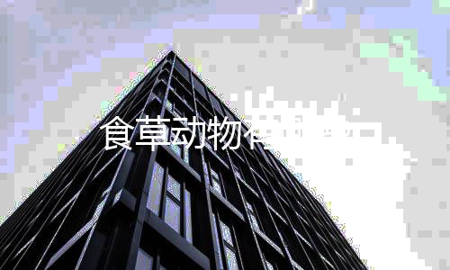 些动物有哪食草
