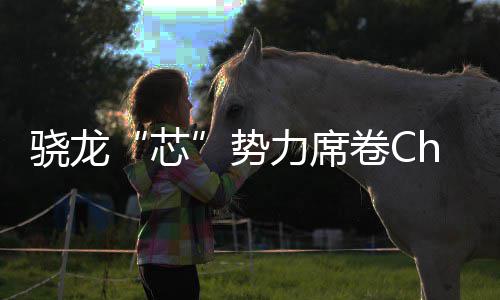 密码骁龙芯力席全领域布卷C局的技术势手机