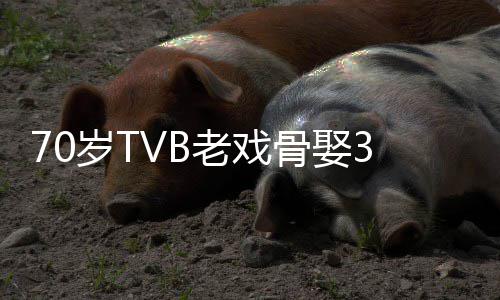 老戏未果骨娶妻 去年岁T岁娇生子