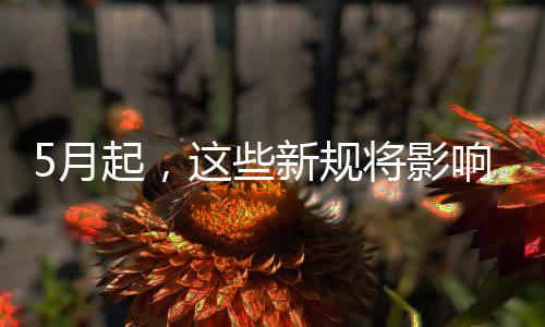 新规响你我生活起，5月这些将影