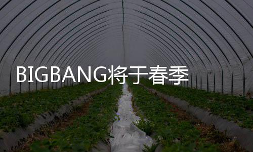 P吸表新开Y毒离曲 成员于春G将季发