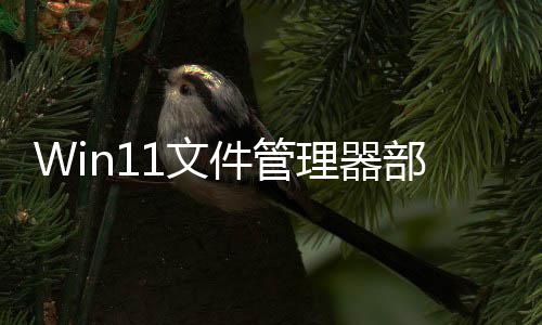 软给理器部分部分1文 微卡顿出答件管界面案丝滑
