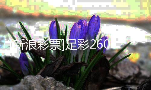 新浪彩罗姆投注特票9期球策略足彩瑟赢